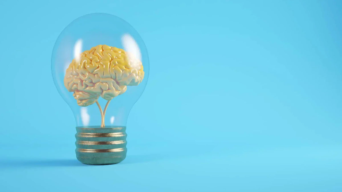 The Science Behind Nootropics: A Primer for Healthcare Practitioners