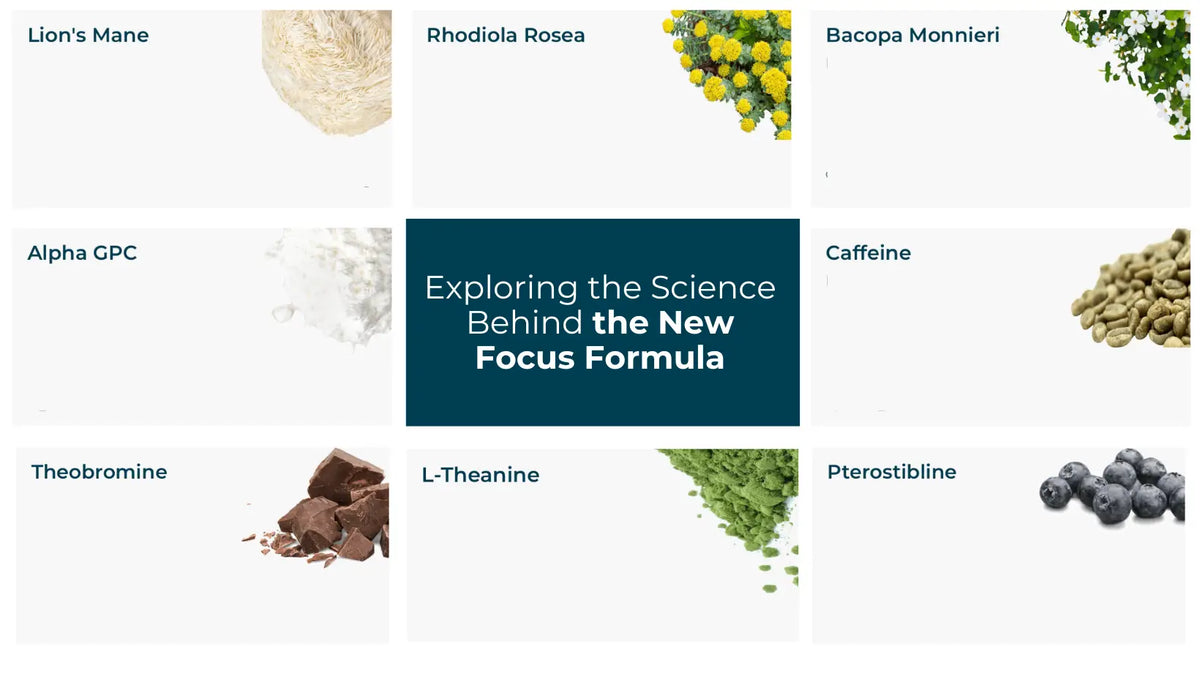 Exploring the Science Behind the New SensIQ Focus Formula