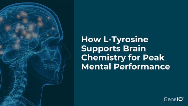 How L-Tyrosine Supports Brain Chemistry for Peak Mental Performance