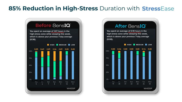 Unlocking Better Sleep: 85% Stress Reduction with StressEase