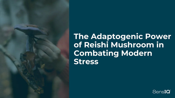 The Adaptogenic Power of Reishi Mushroom in Combating Modern Stress