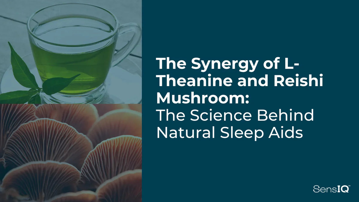 L-Theanine and Reishi: Synergy for Better Sleep SensIQ L-Theanine and Reishi: Synergy for Better Sleep SensIQ
