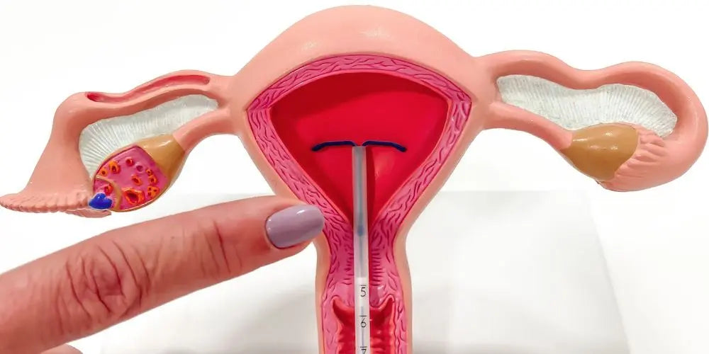 IUD for Perimenopause: Benefits, Risks, and Guidance