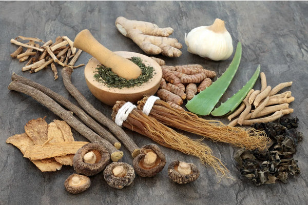 Where Can I Find Adaptogenic Mushrooms? Benefits & Types