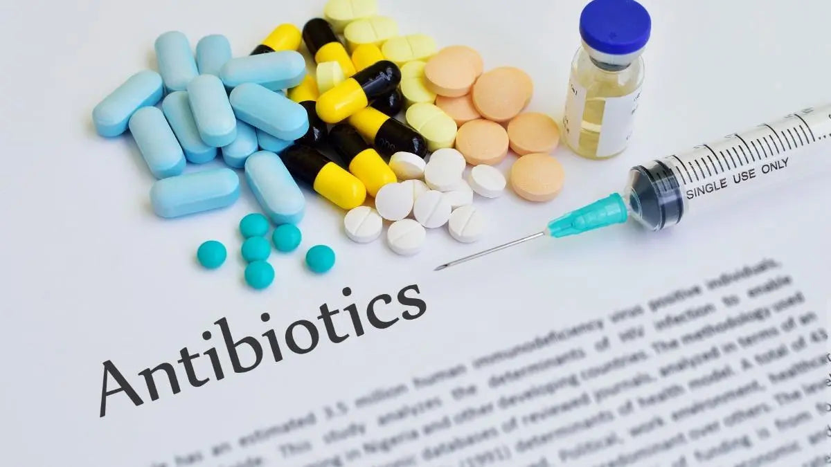 Antibiotics Brain Fog: Causes, Symptoms, and Recovery Explained