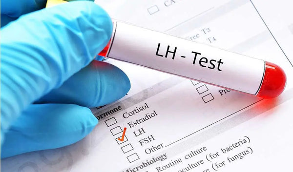Luteinizing Hormone in Menopause – Guide for Women’s Health