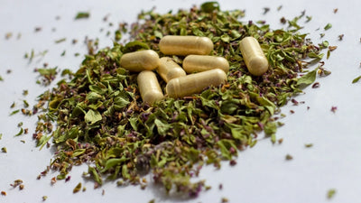 Best Herbal Supplements for Sleep