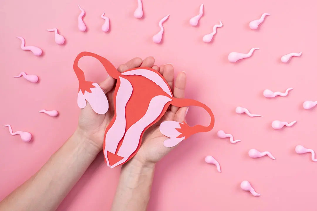 IVF During Perimenopause: What You Need to Know