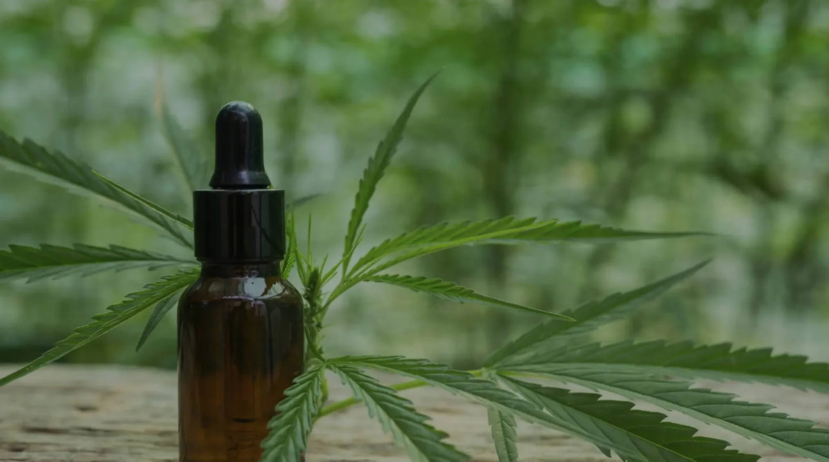 Does CBD Cause Brain Fog? Understanding How It Affects You