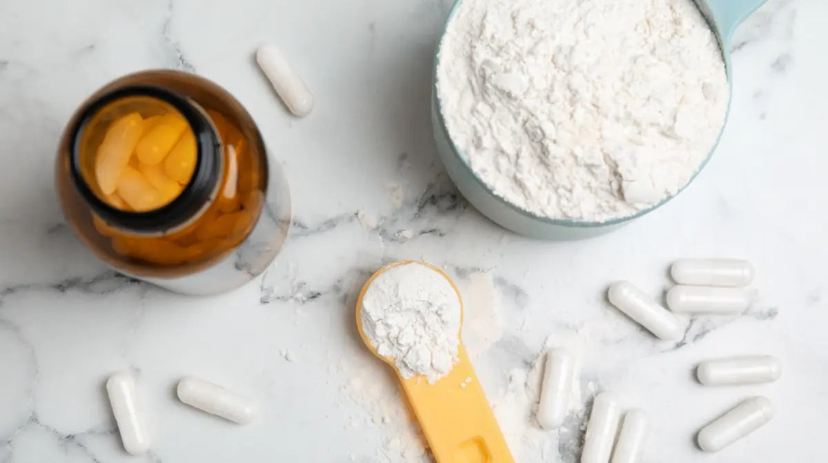 Creatine Brain Fog: A Clinical Guide to What’s Known