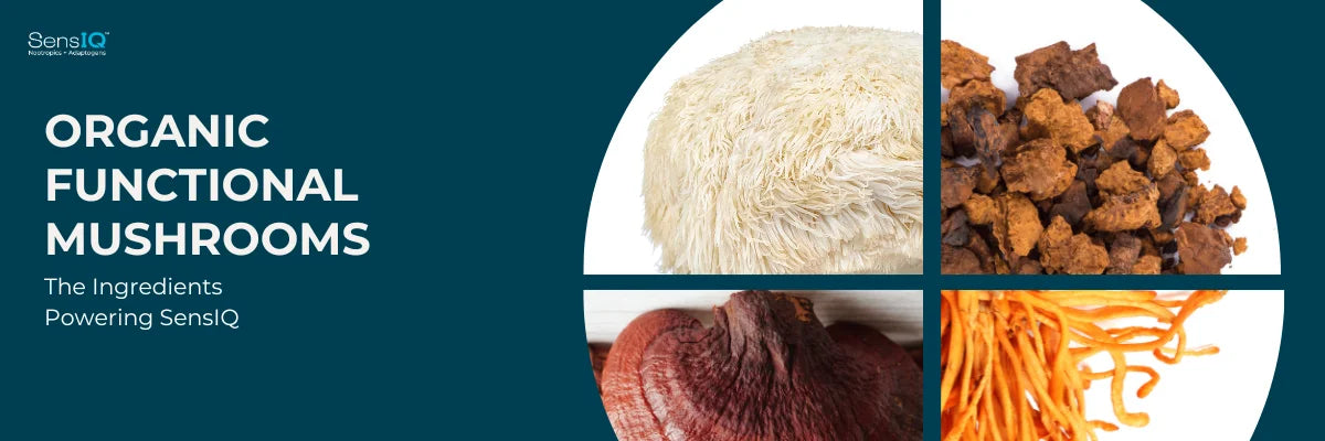 The Cognitive Benefits of Daily Mushroom Consumption