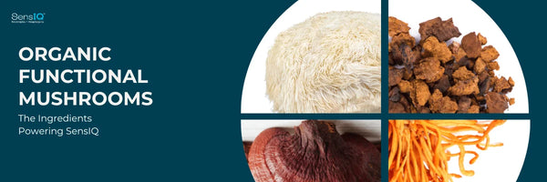 The Cognitive Benefits of Daily Mushroom Consumption