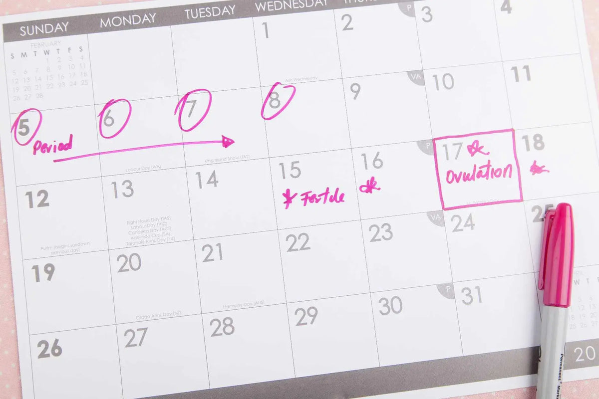 Can You Ovulate and Not Get a Period? Explained