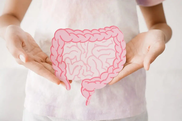 Can Gut Health and Brain Fog Be Connected? Here’s What Experts Say