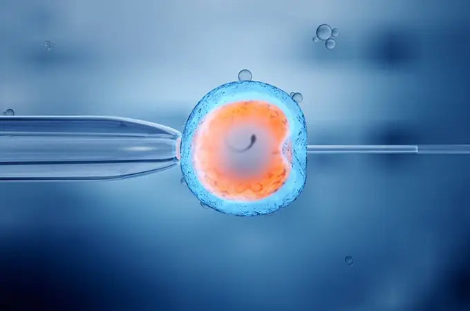 Can IVF Cause Early Menopause? What Woman Should Know