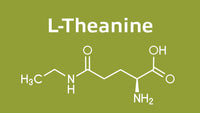 Does L-Theanine Research on Brain Fog Support Real Benefits?