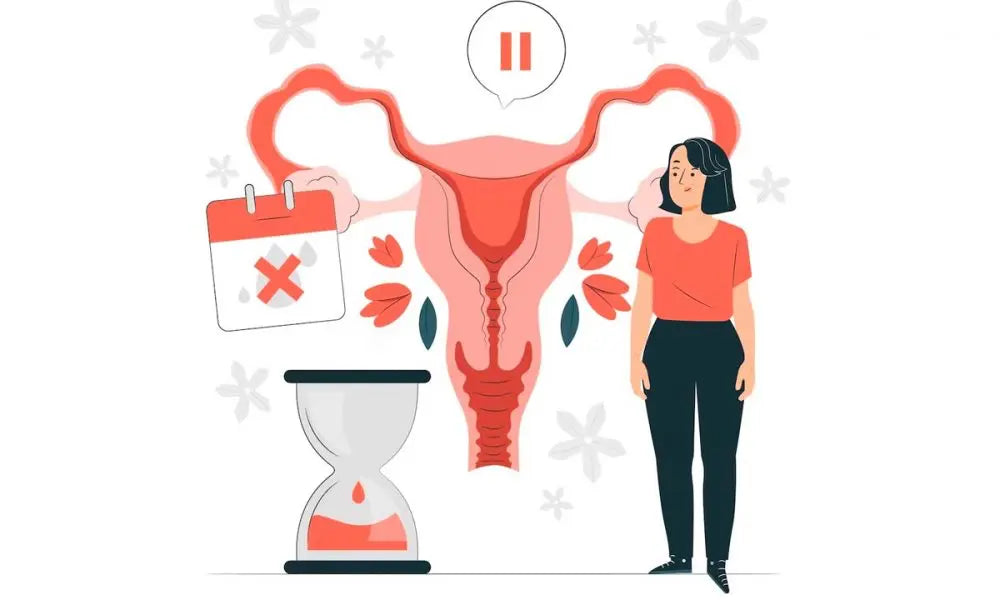 What Is the Difference Between Perimenopause and Menopause?