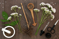 Valerian Root vs Melatonin for Sleep
