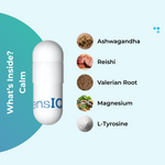 Steady Mood & Memory (Menopause Support)