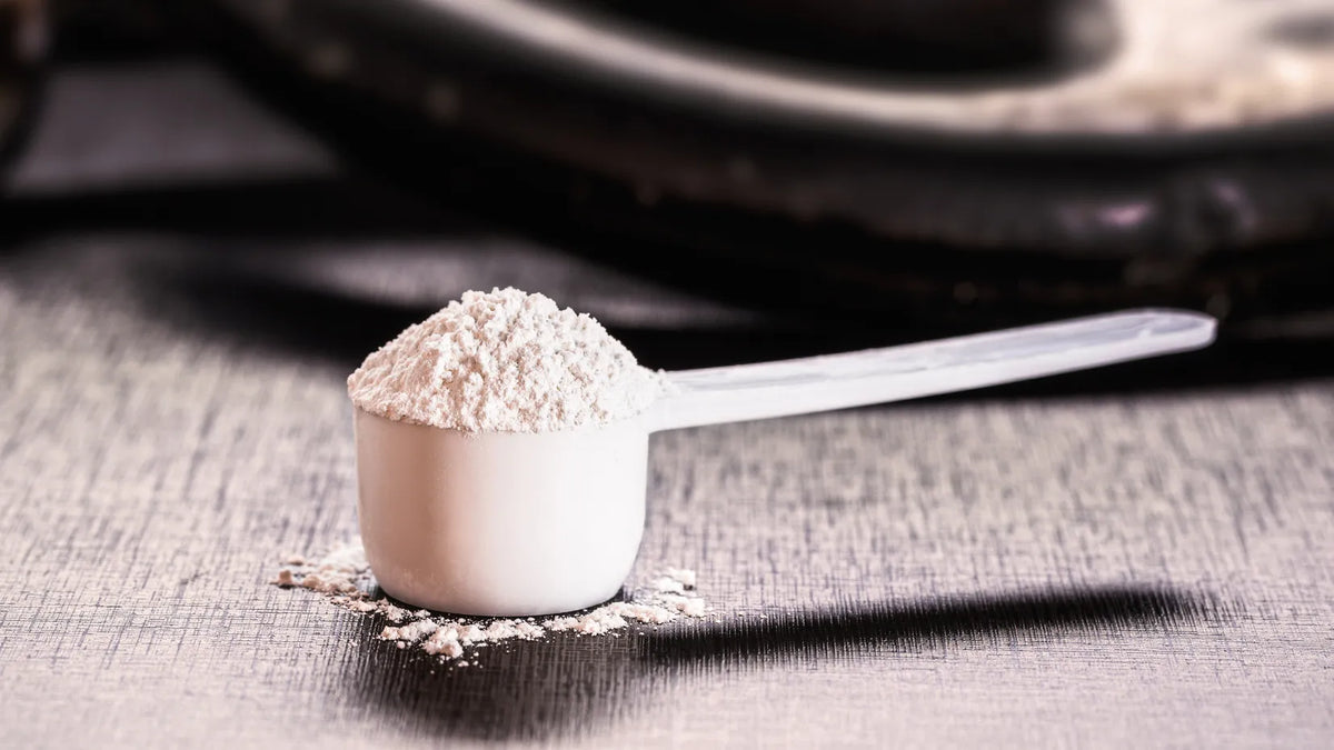 Creatine Monohydrate Purity