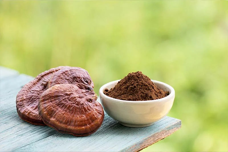 Safety and Side Effects of Reishi Mushroom Supplements