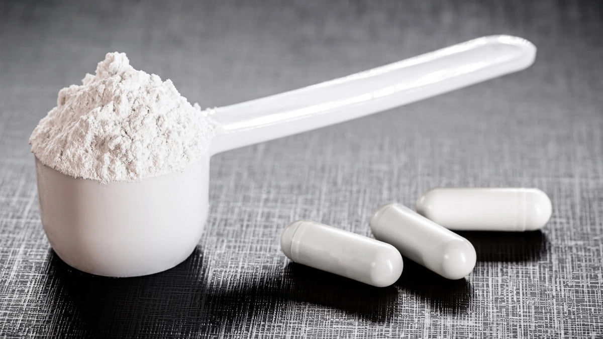 Creatine Types and Product Formats