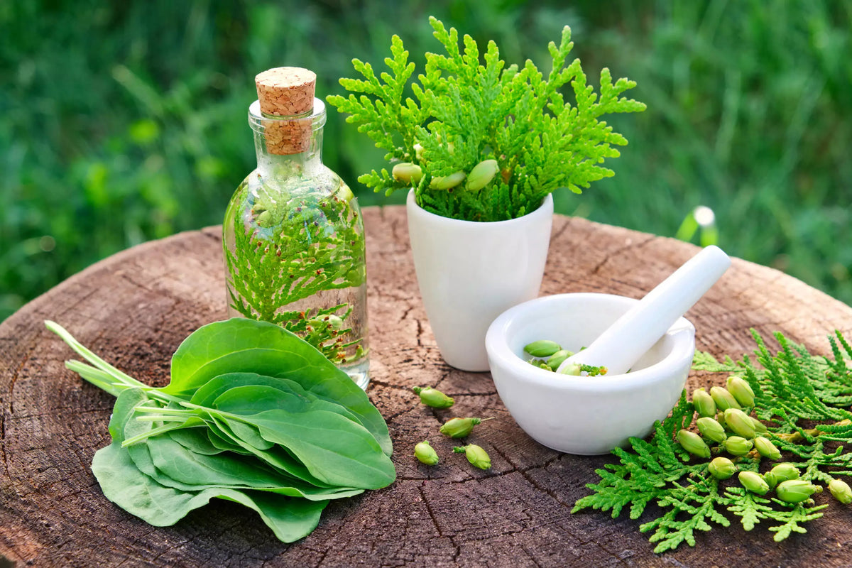 Is Deep Sleep Herbal Medicine Safe
