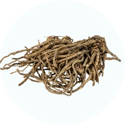 Valerian Root