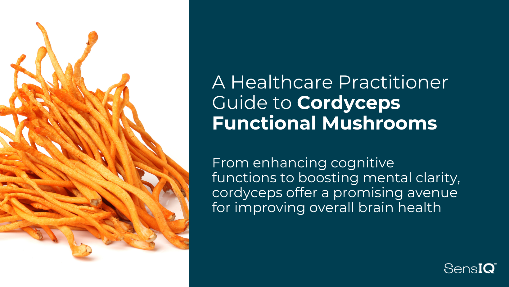 A Healthcare Practitioner Guide to Cordyceps Functional Mushrooms