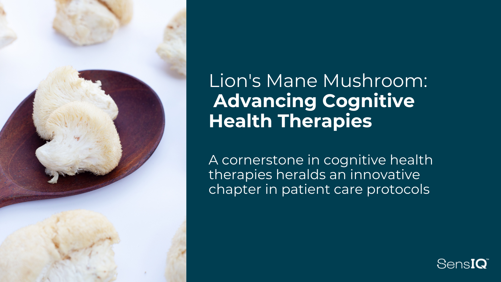 Lion's Mane Mushroom: Advancing Cognitive Health Therapies