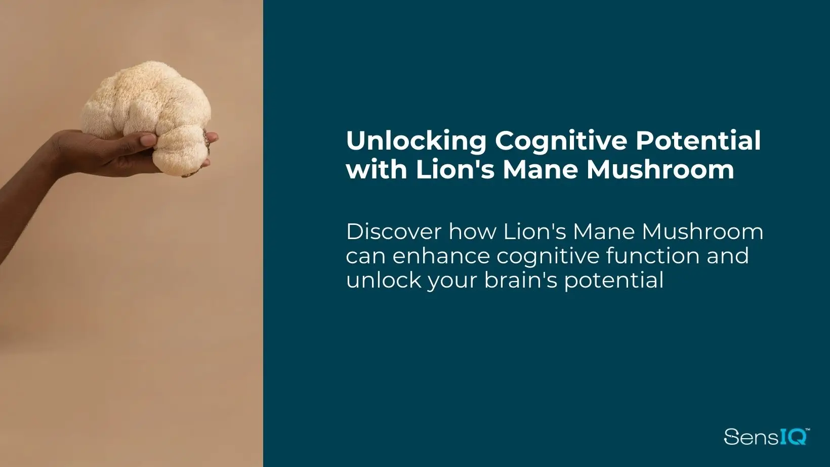 Discover how Lion's Mane Mushroom can enhance cognitive function and unlock your brain's potential.