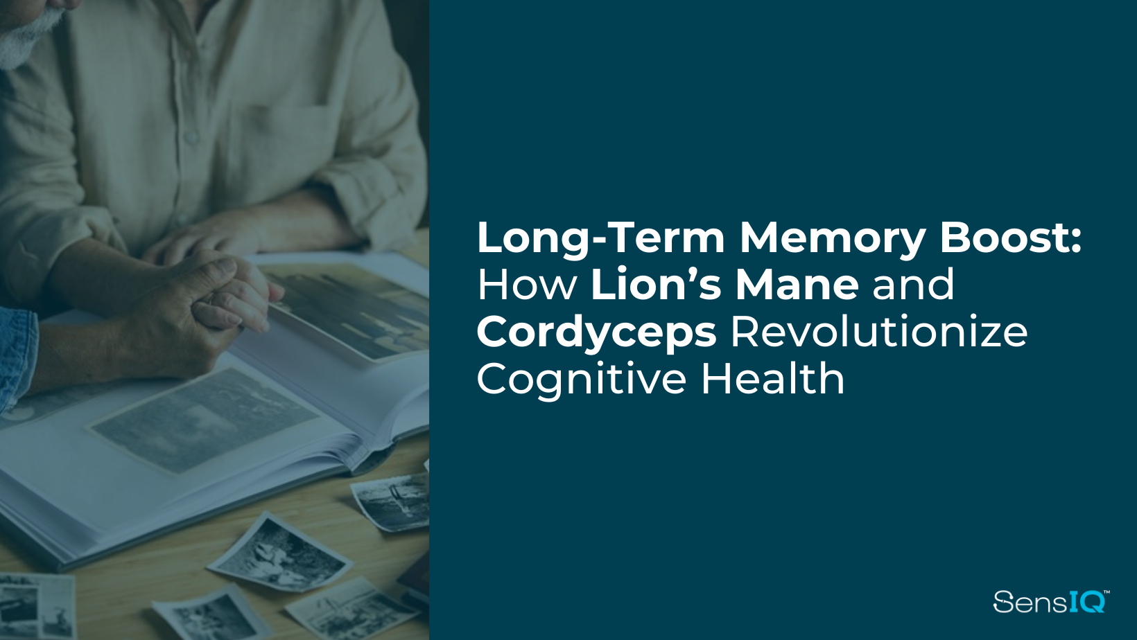 Long-Term Memory Boost: How Lion’s Mane and Cordyceps Revolutionize Cognitive Health